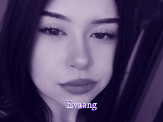 evaang Super Webcam