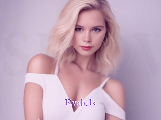 evabels Super Webcam