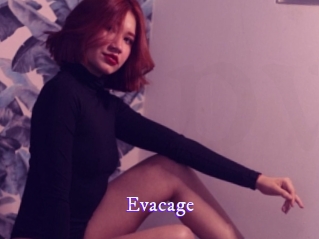 Evacage