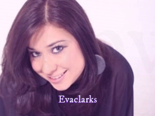 evaclarks Super Webcam