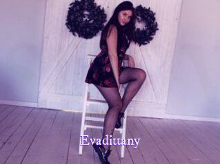 evadittany Super Webcam
