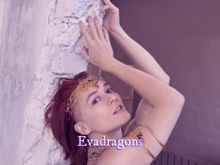 evadragons Super Webcam