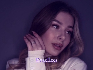 evaellees Super Webcam