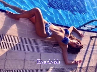 evaelvish Super Webcam