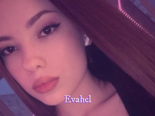 evahel Super Webcam