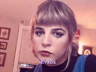 evalix Super Webcam