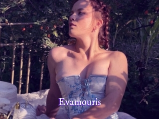 evamouris Super Webcam