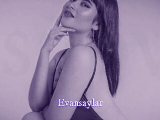 evansaylar Super Webcam