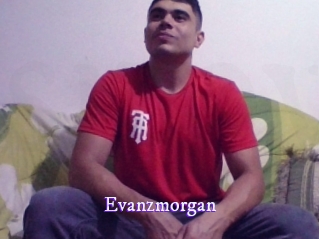 evanzmorgan Super Webcam