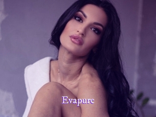 Evapure