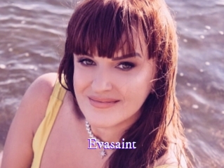 evasaint Super Webcam