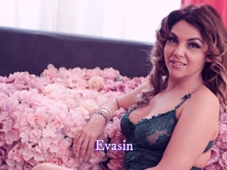 evasin Super Webcam