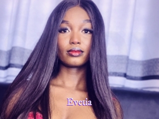evetia Super Webcam