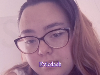 Eviedash