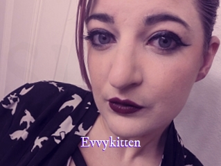 Evvykitten