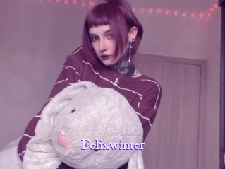 Felixwinter