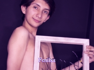 feniixa Super Webcam