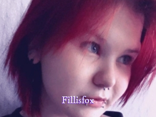 fillisfox Super Webcam