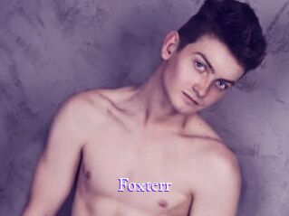 Foxterr