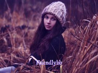 friendlybb Super Webcam