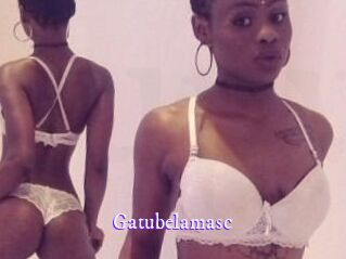 Gatubela_masc