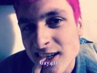 Gay411