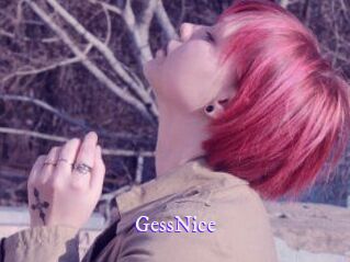 GessNice