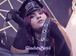 GinebraEnyd Super Webcam
