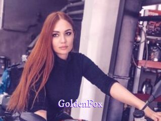 GoldenFox Super Webcam