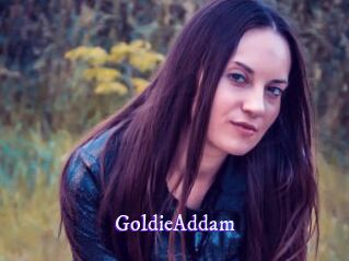 GoldieAddam Super Webcam