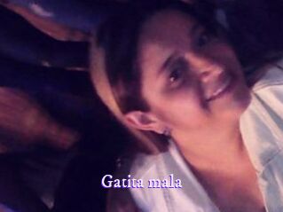 Gatita_mala