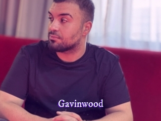 gavinwood Super Webcam