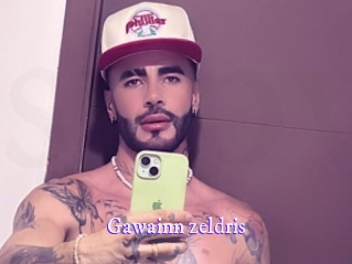 gawainn_zeldris Super Webcam