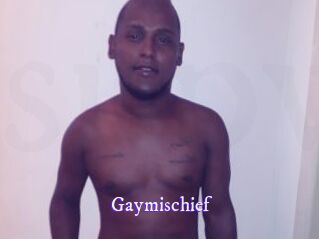 gaymischief Super Webcam