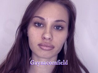 Gaynacornfield