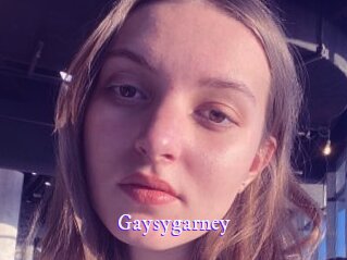 gaysygarney Super Webcam