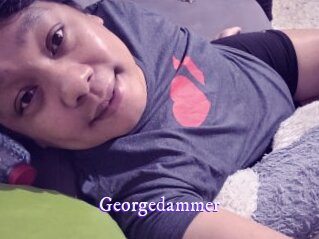 Georgedammer
