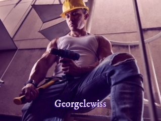 georgelewiss Super Webcam