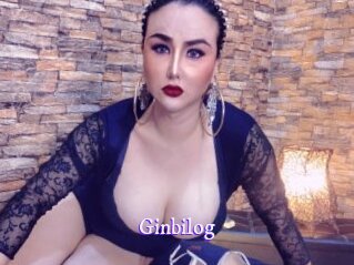 Ginbilog