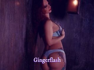 gingerflash Super Webcam