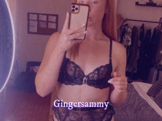 Gingersammy