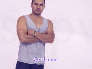 gorilacum Super Webcam