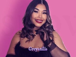 greysnilis Super Webcam