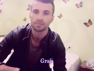 gruia Super Webcam