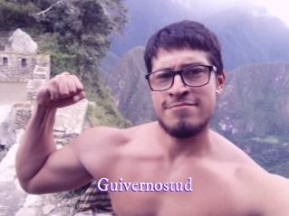 guivernostud Super Webcam