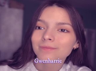 gwenharrie Super Webcam