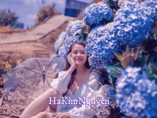 HaKimNguyen