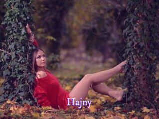Hajny