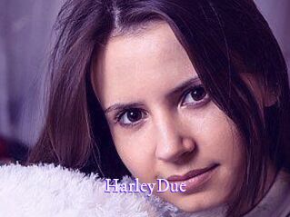 Harley_Due