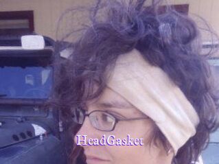 HeadGasket Super Webcam